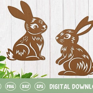 Lapin de Pâques SVG PNG DXF, silhouette de lapin de printemps, lapin et papillon, sublimation, cricut, silhouette, fichiers découpés au laser, svg glowforge