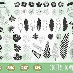 SVG PNG Tropische Blätter und Hibiskus Bundle, Monstera Blatt SVG, Palm Blatt SVG, Sommer Lagenplan, Sublimation, Cricut Schnitt Datei, Silhouette