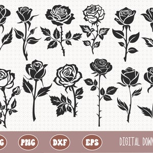 SVG PNG Rose flowers bundle, black silhouette rose, outline rose, Roses Template SVG, sublimation, cricut cut file,  commercial use
