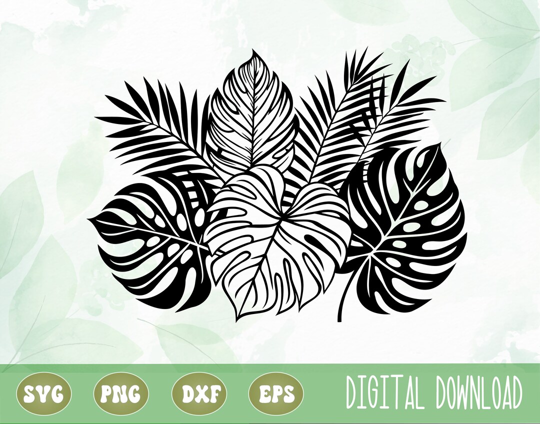 SVG PNG Tropical Palm Leaves Clipart, Monstera Leaf Svg, Palm Leaves ...