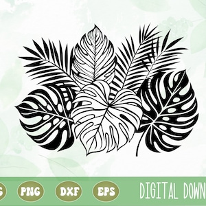 SVG PNG Tropical Palm Leaves Clipart, Monstera Leaf Svg, Palm Leaves ...