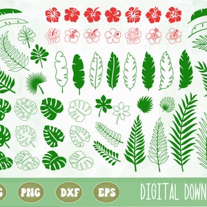 SVG PNG Tropical leaves and Hibiscus bundle, monstera leaf svg, palm leaf svg, summer layered svg, sublimation, cricut cut file, silhouette