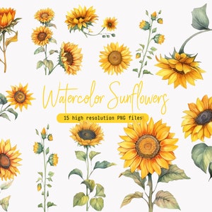 Imágenes prediseñadas de girasoles - Girasoles de acuarela - Imágenes prediseñadas florales - Imágenes prediseñadas prefabricadas - Imágenes prediseñadas de boda - Imágenes prediseñadas de primavera -Flores silvestres - Flores SVG