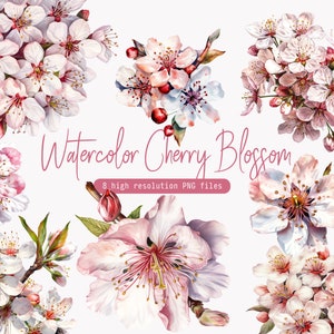 Cherry Blossom Clipart - Watercolor Blossoms, Floral Clipart - Premade Clipart - Wedding Clipart - Spring Clipart - Wild Flowers - Flowers