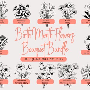 Geburt Monat Blumen Line Art Set, handgemachte Nelke zu Holly, hochauflösende 300 DPI PNG & SVG, 12 einzigartige Designs, téléchargement numérique