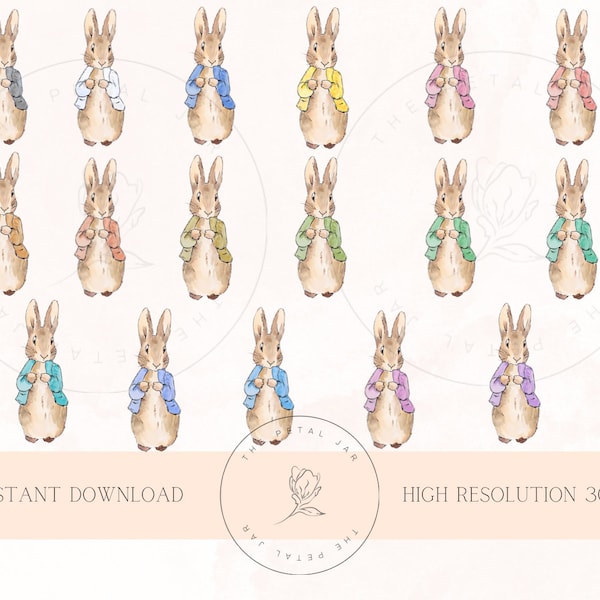 Bundle 17 Classic Peter Rabbit bunny PNG bundle digital download | bunny sublimation design png