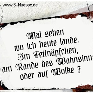 May include: A rectangular sign with a white background and black text. The text reads, "Mal sehen wo ich heute lande. Im Fettnäpfchen, am Rande des Wahnsinns oder auf Wolke 7." The sign has a brown border and is suspended by wire.