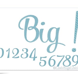Calligraphy 30 BIG Alphabet Font Embroidery File