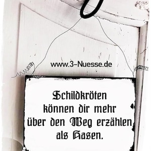 Puede incluir: Un letrero blanco con texto negro que dice "Schildkröten können dir mehr über den Weg erzählen als Gänse." El letrero está colgado de un alambre negro y tiene un marco de madera negro. El sitio web www.3-Nuesse.de está impreso en la esquina superior derecha del letrero.