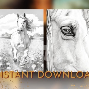 May include: A black and white drawing of a horse running through a field of flowers. The horse's eye is highlighted in the second image.