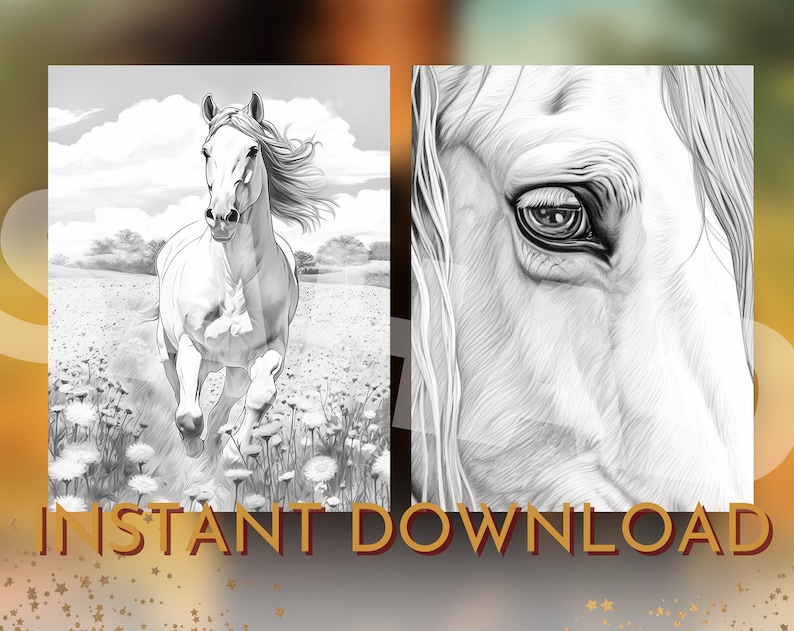May include: A black and white drawing of a horse running through a field of flowers. The horse's eye is highlighted in the second image.