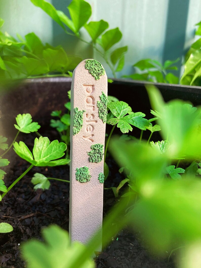 Herb Garden Markers Handmade Polymer Clay Custom Plant Etsy