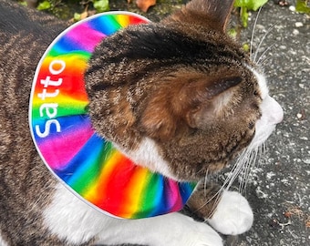 Personalisiertes Katzenhalsband