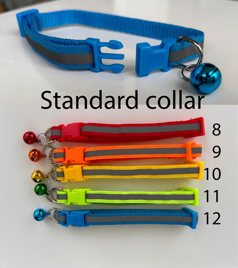Standard collar has a standard closure which normally can only be opened by a human.