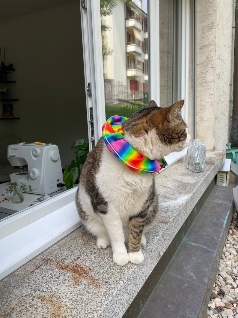 Collier anti-oiseaux pour chat image 2