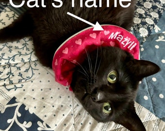 Bird saver cat collar with name