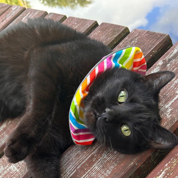 Vogel schone Halsband für Katzen