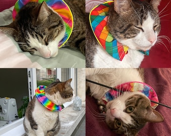 Vogel schone Halsband für Katzen