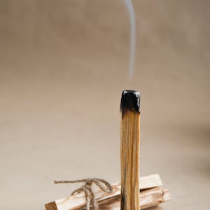 Palo Santo Smudge Stick