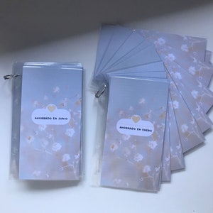 set of a6 laminated cash envelopes, personalized cash envelopes, laminated cash envelopes, saving tracker