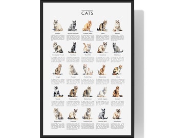 May include: A poster with the word "CATS" at the top and illustrations of different cat breeds. Each breed is labeled with its name, such as Ragdoll, Siamese, and Maine Coon.