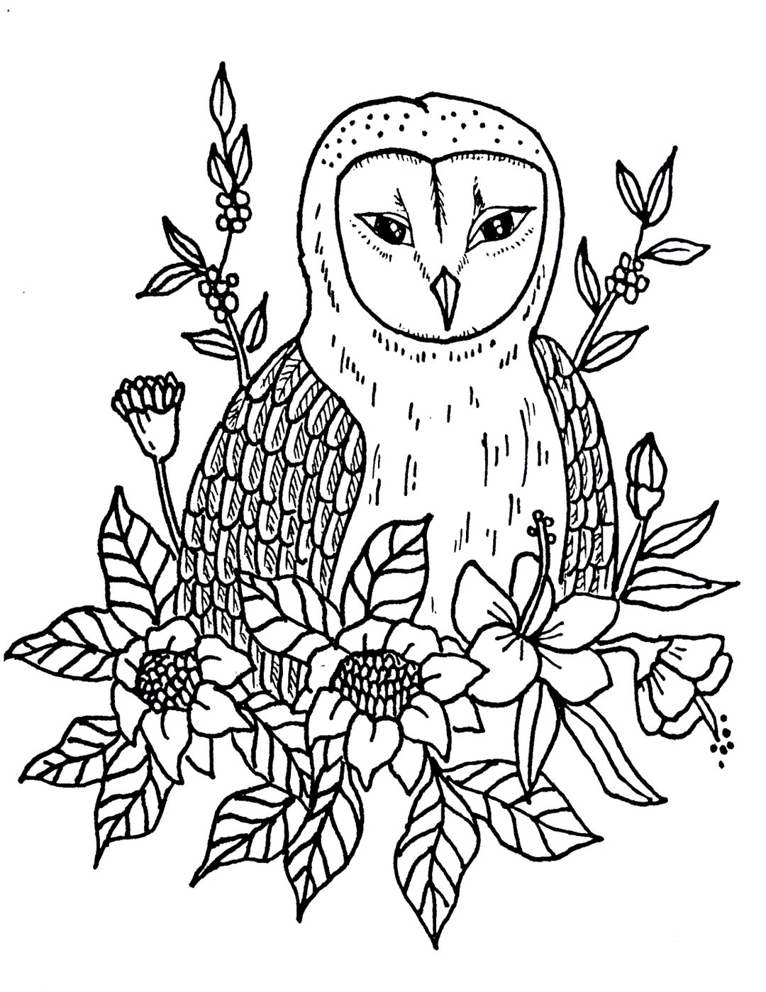 Barn Owl Coloring Sheet to Print Owl Printable Colouring Etsy