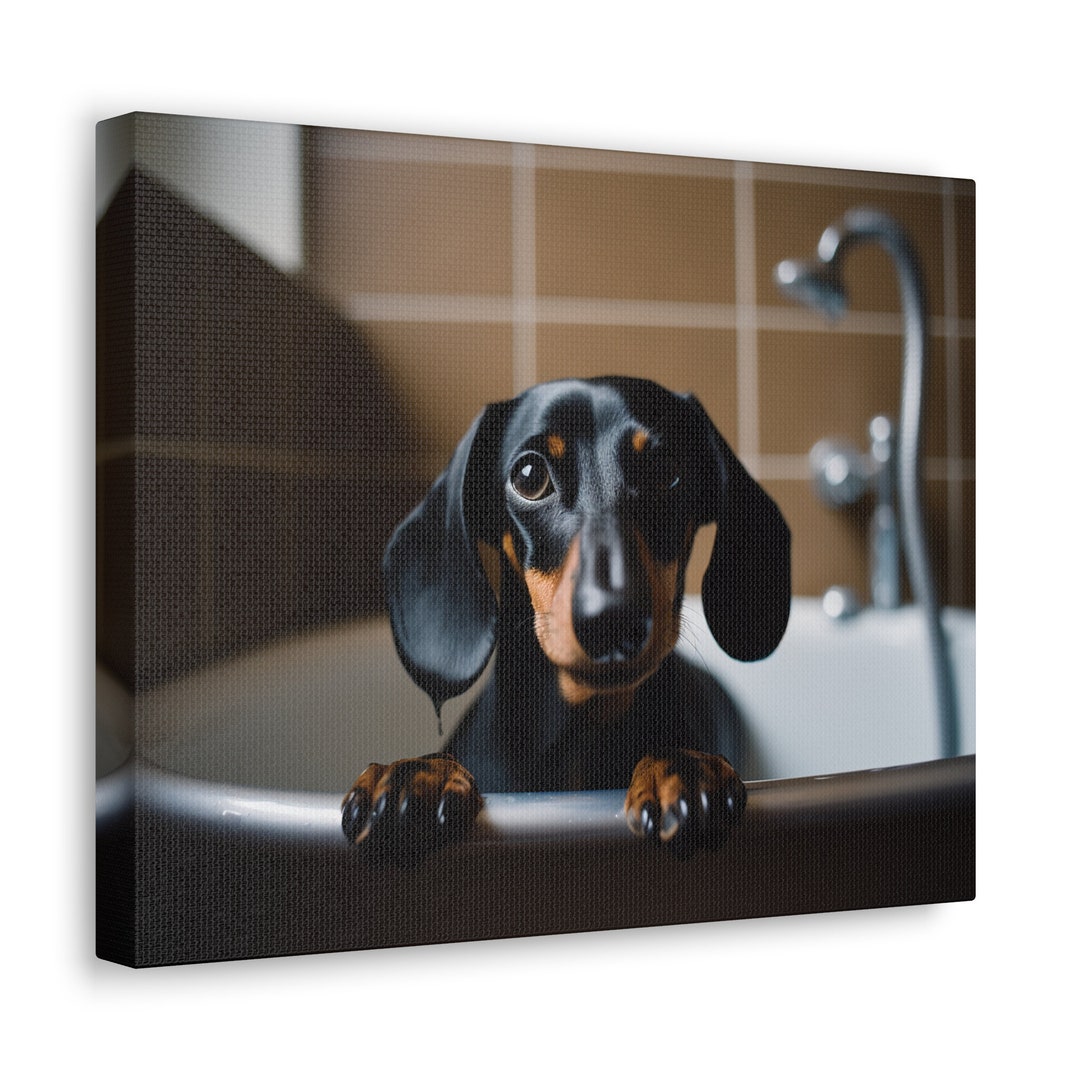 Dachshund Canvas, Dachshund Wall Art, Wiener Dog, Funny Bathroom Print