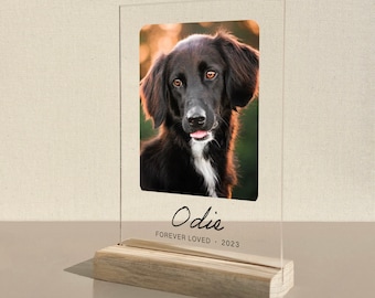 Targa commemorativa personalizzata per animali domestici: ritratto da tavolo in acrilico
