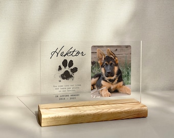 Targa commemorativa personalizzata per animali domestici: decorazione fotografica con impronta di zampa in acrilico
