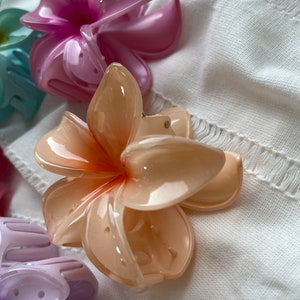 Hawaii Blumen-Haarspangen Clips Flowers Spangen Haare imagem 2