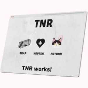 Trap, Neuter, Return TNR | Social Media Post Kit | Includes 4 different sizes | Perfect for FB, Twitter, LinkedIn, and Instagram