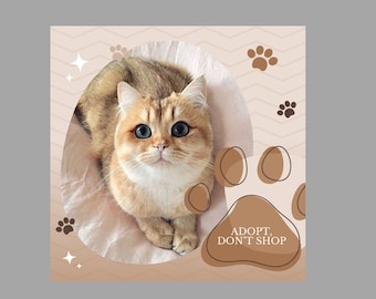 Adopta, no compres / Imagen PNG de alta calidad con mensaje que salva vidas / Arte imprimible / Descarga instantánea / Decoración para concienciar sobre la adopción de mascotas