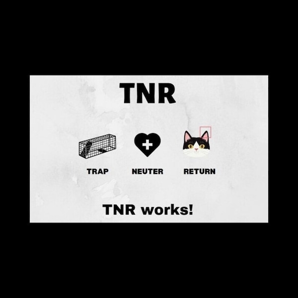 Trap, Neuter, Return TNR | Social Media Post Kit | Includes 4 different sizes | Perfect for FB, Twitter, LinkedIn, and Instagram