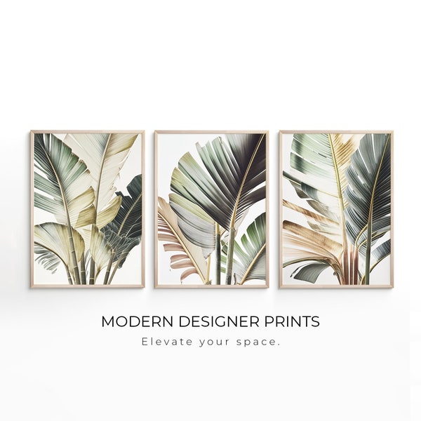 Set of 3 | Palm tree | Wall Art Print | Palm Leaf Print | Botanical Wall Art | Printable Wall Art | Digital Download | Tropical Wall Décor