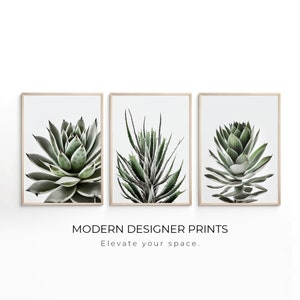 Set of 3 | Succulent Print | Botanical | Printable Art | Instant download | Modern Minimalist Poster | Printable Decor | Nature Wall Décor
