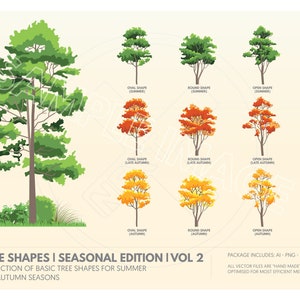 Illustrations d'arbres vectoriels d'automne | Clipart d'arbres d'automne jaunes et rouges PNG, AI, EPS