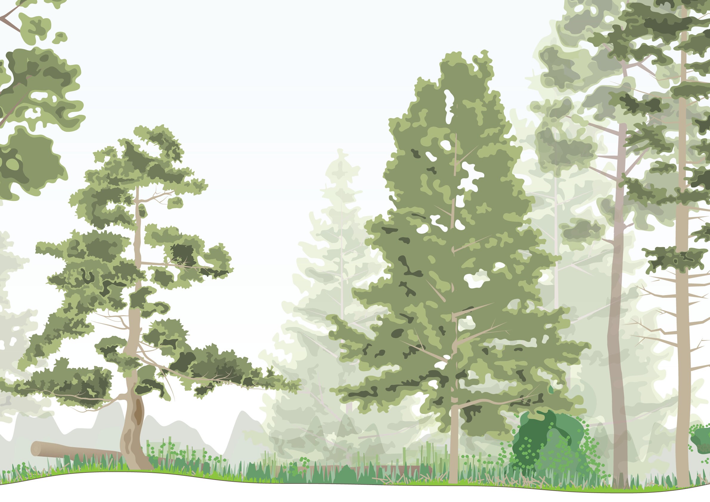 Flat Forest Tree Vector Clipart Collection | Cutout Vegetation | 6 ...