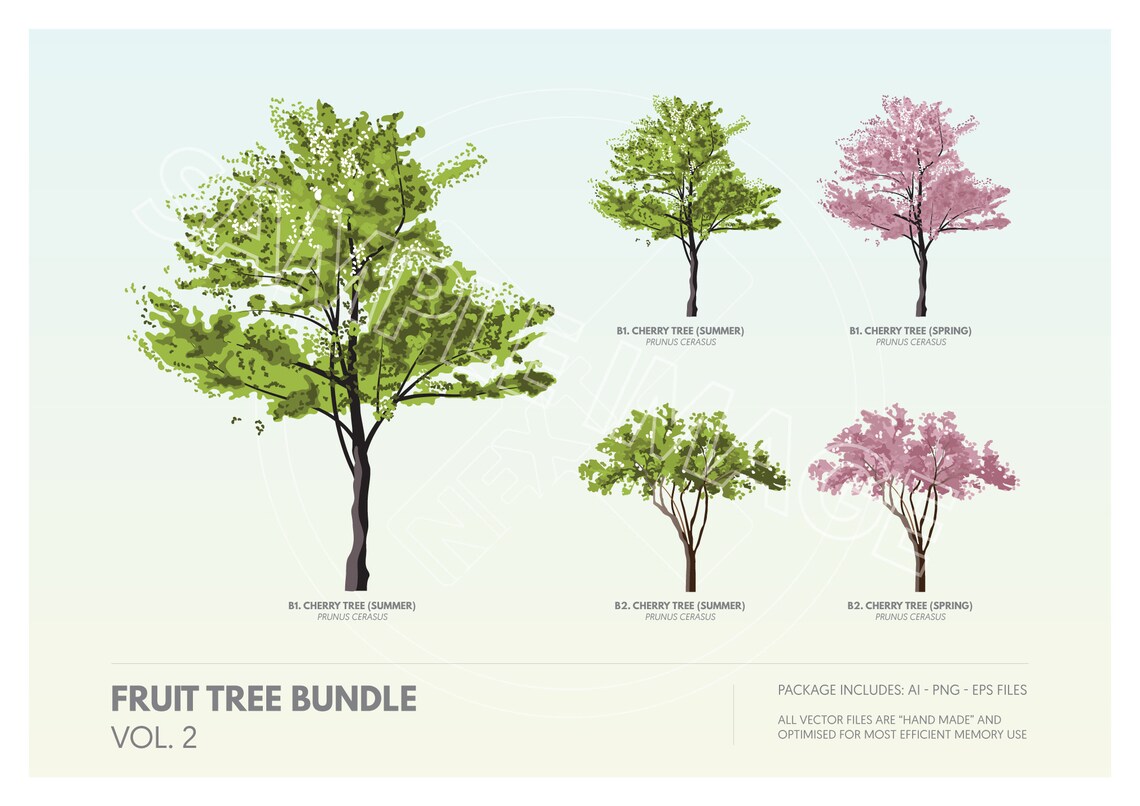 Flowering Tree Clipart Vector Bundle | Vector Cutout Trees PNG, AI, EPS ...