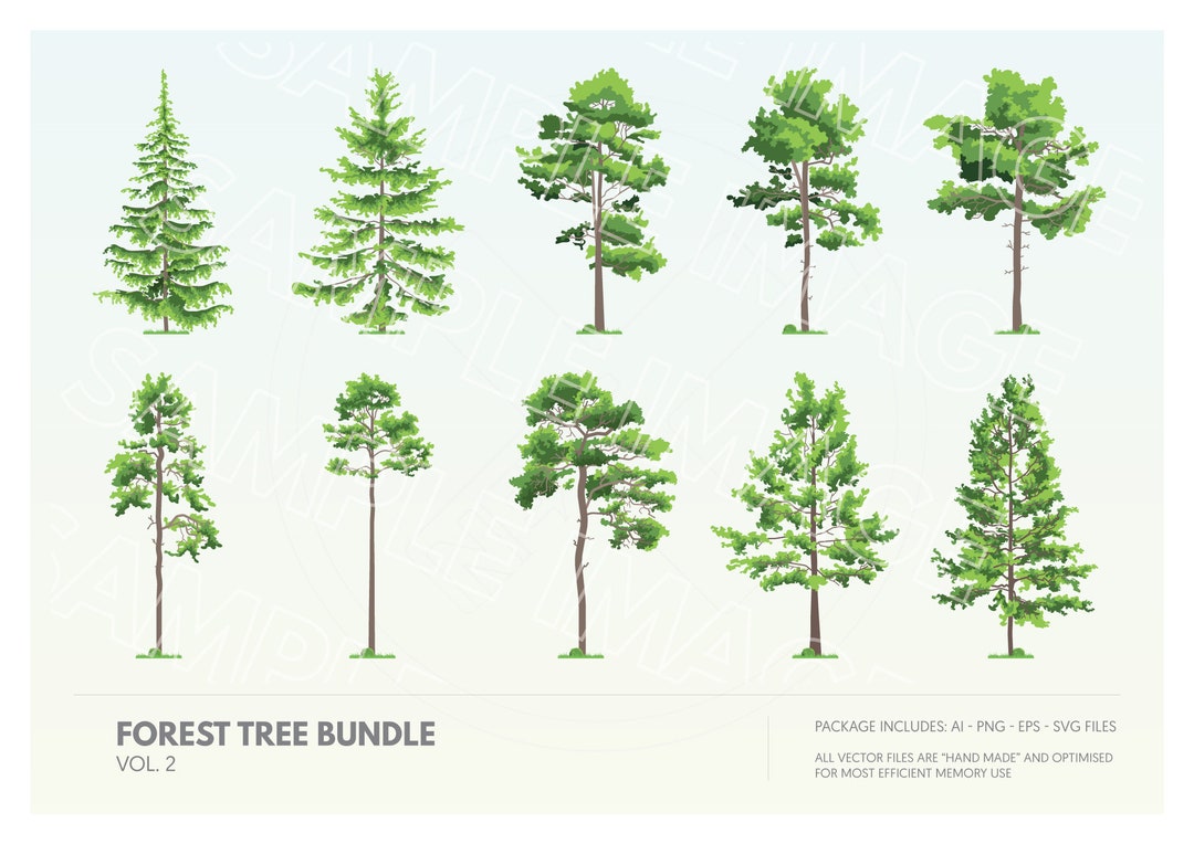 Flat Forest Tree Clipart Vector Collection | Evergreen Trees Vector AI ...