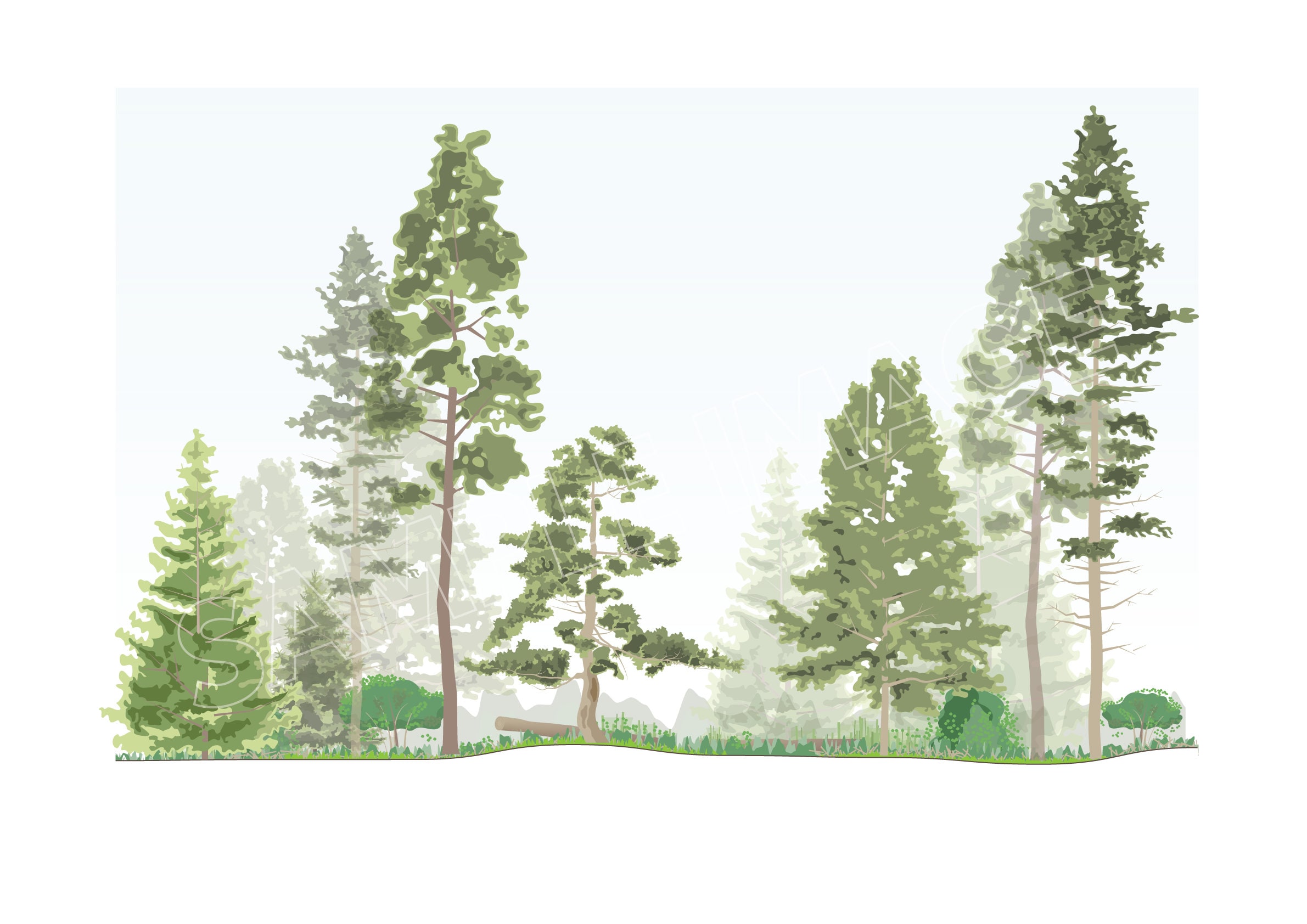 Flat Forest Tree Vector Clipart Collection | Cutout Vegetation | 6 ...