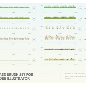 Vector plants brush set for Adobe Illustrator | 12 unique vector brush strokes | Instant download AI files