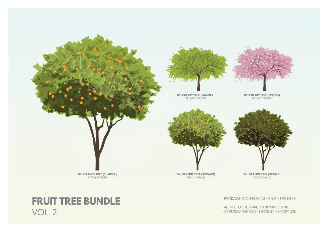 Flowering Tree Clipart Vector Bundle | Vector Cutout Trees PNG, AI, EPS ...