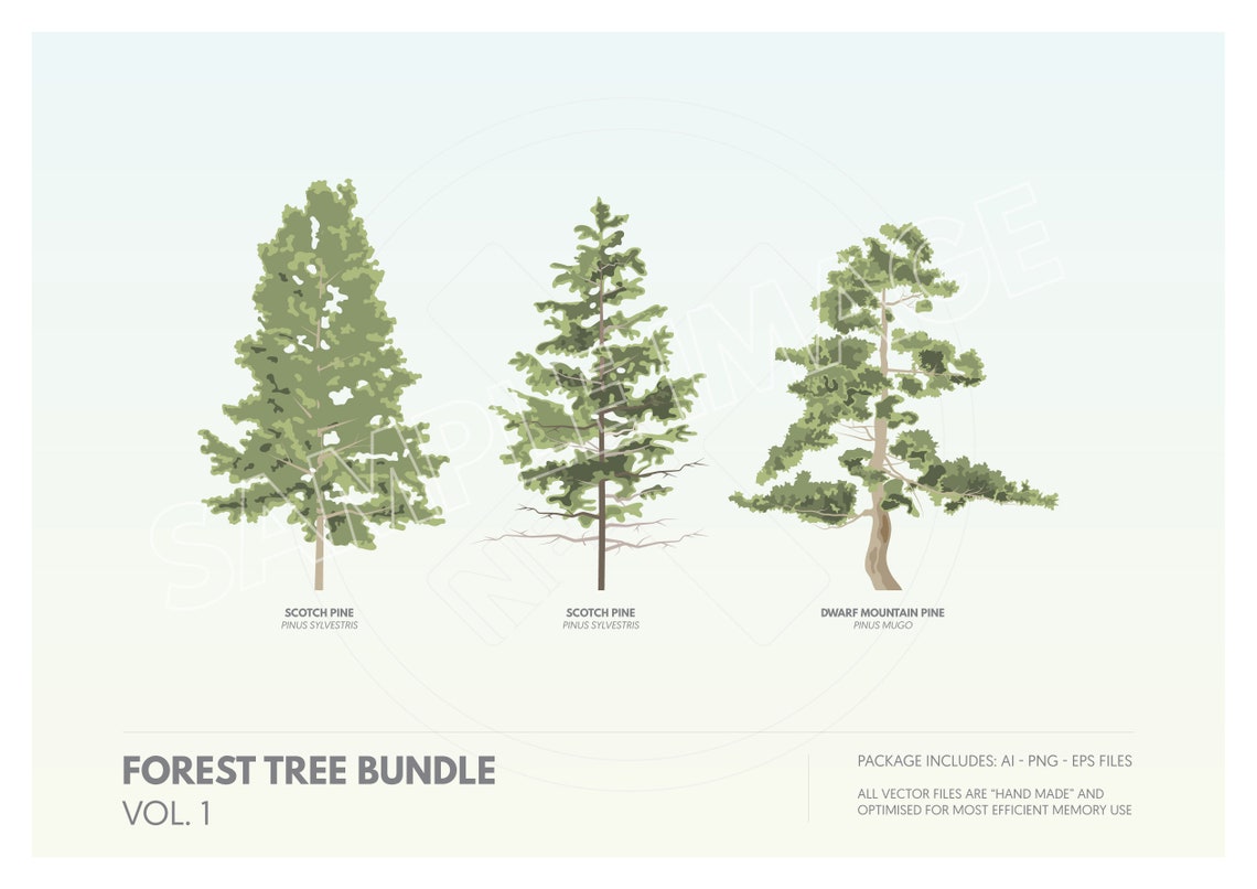 Flat Forest Tree Vector Clipart Collection | Cutout Vegetation | 6 ...