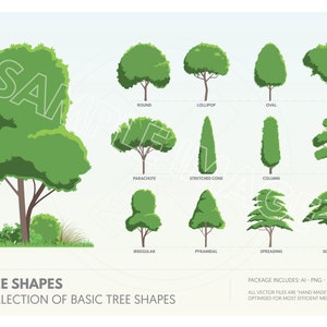Op de afbeelding: Een diagram dat 12 verschillende boomvormen laat zien, waaronder rond, lolly, ovaal, vaas, parachute, gestrekte kegel, kolom, open, onregelmatig, piramidevormig, uitgestrekt en sculpturaal. Het diagram heeft de titel "Boomvormen: Collectie van basisboomvormen".