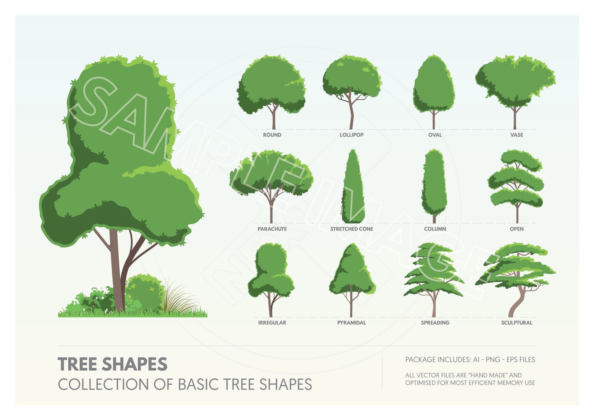 Tree Png | Tree Clipart Collection | Basic Tree Shapes | 12 Simple Tree ...