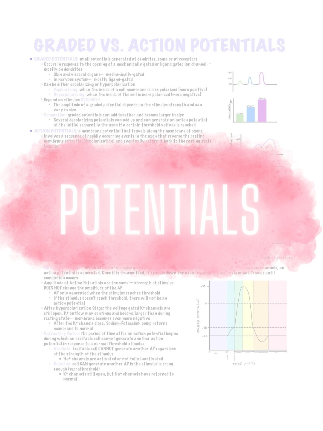Graded Potentials VS Action Potential Etsy