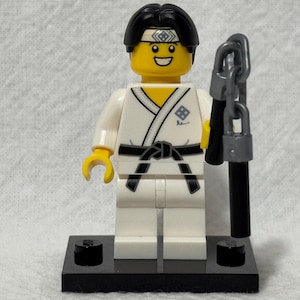 Lego Minifigure Martial Arts Boy CMF 71027-10 Series 20, Retired, Includes Foil Pack Accessories Stand Instruction Sheet, Mint Condition