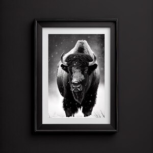 Buffalo In Snow Wall Art Print, Black and White, Buffalo Poster, Modern Wall Art, 25+ Sizes Available, Instant Digital Download, Printable