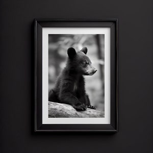 Baby Bear Wall Art Print, Black and White, Baby Bear Poster, Modern Wall Art, 25+ Sizes Available, Instant Digital Download