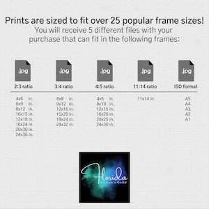 File size and print options chart